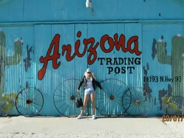 03c3883e-f4e6-4a2e-b1b9-d546c7134fa5