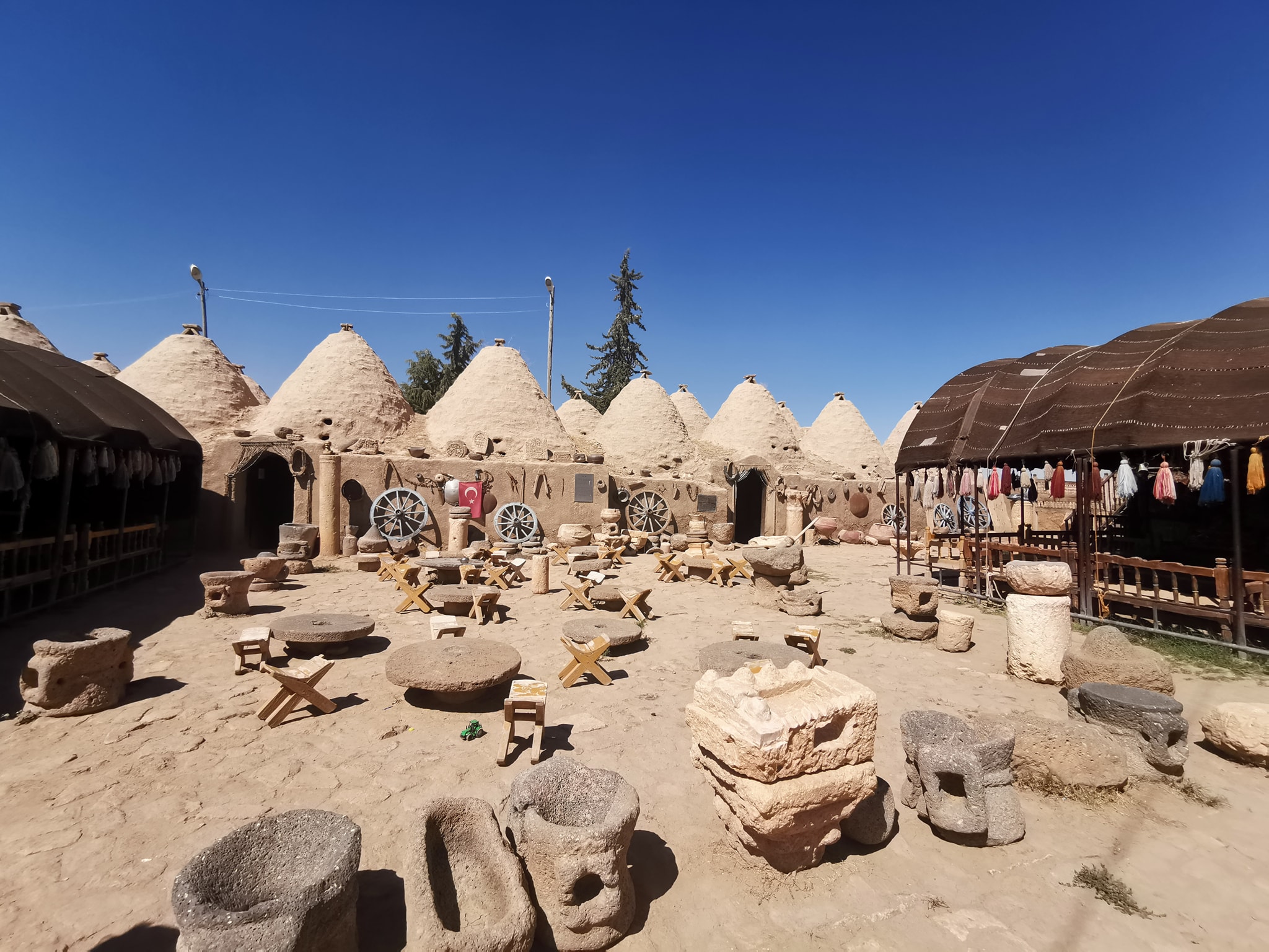 117833587_10208188809314240_4435177641001332639_n