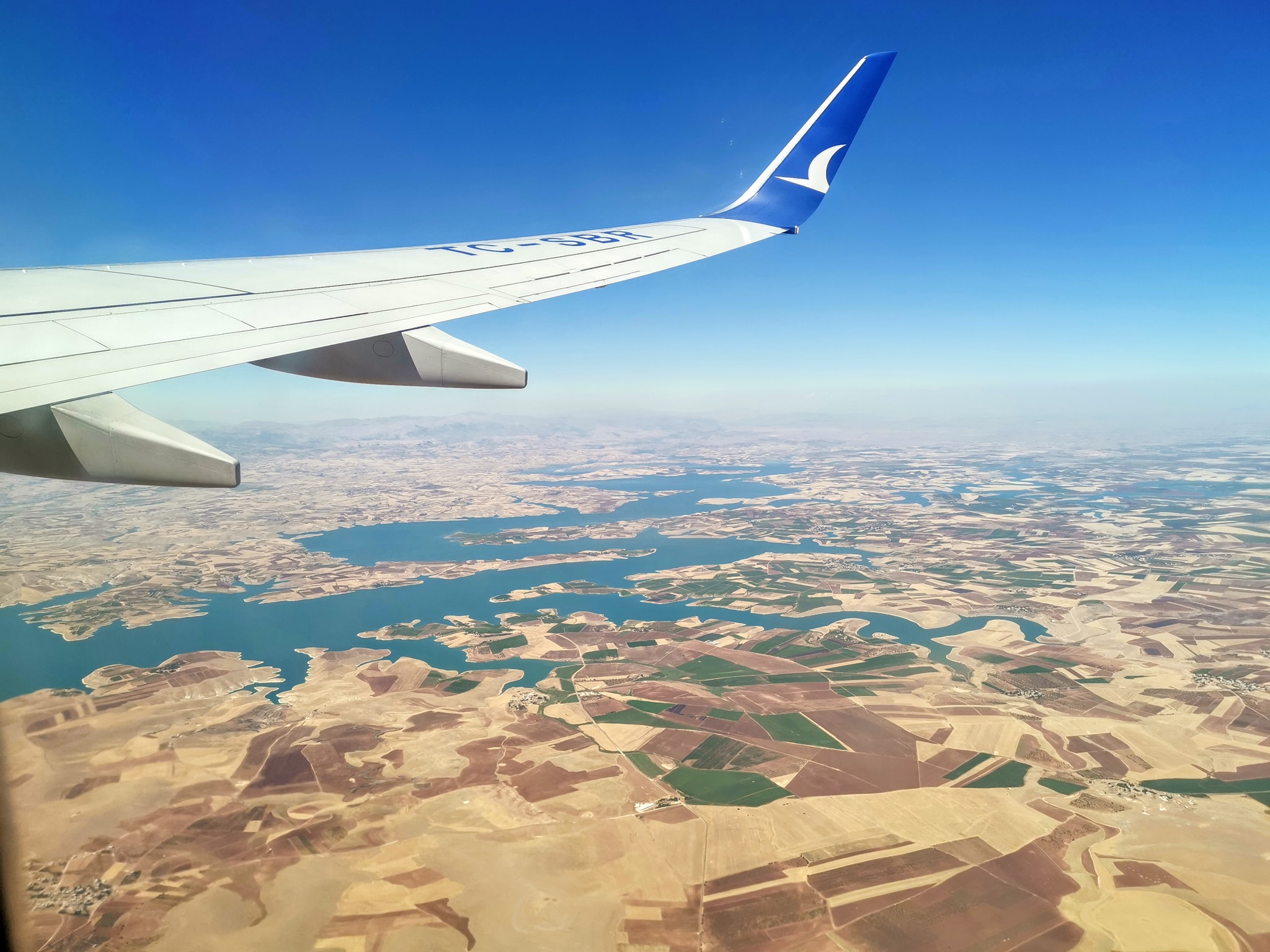 118312080_10208226601739027_4956833972199442041_n