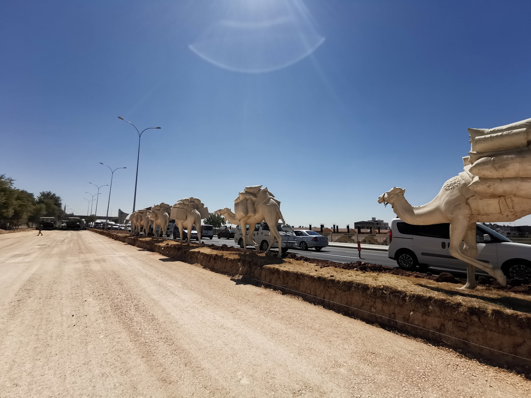 118597464_10208226622739552_3446941855286519176_n