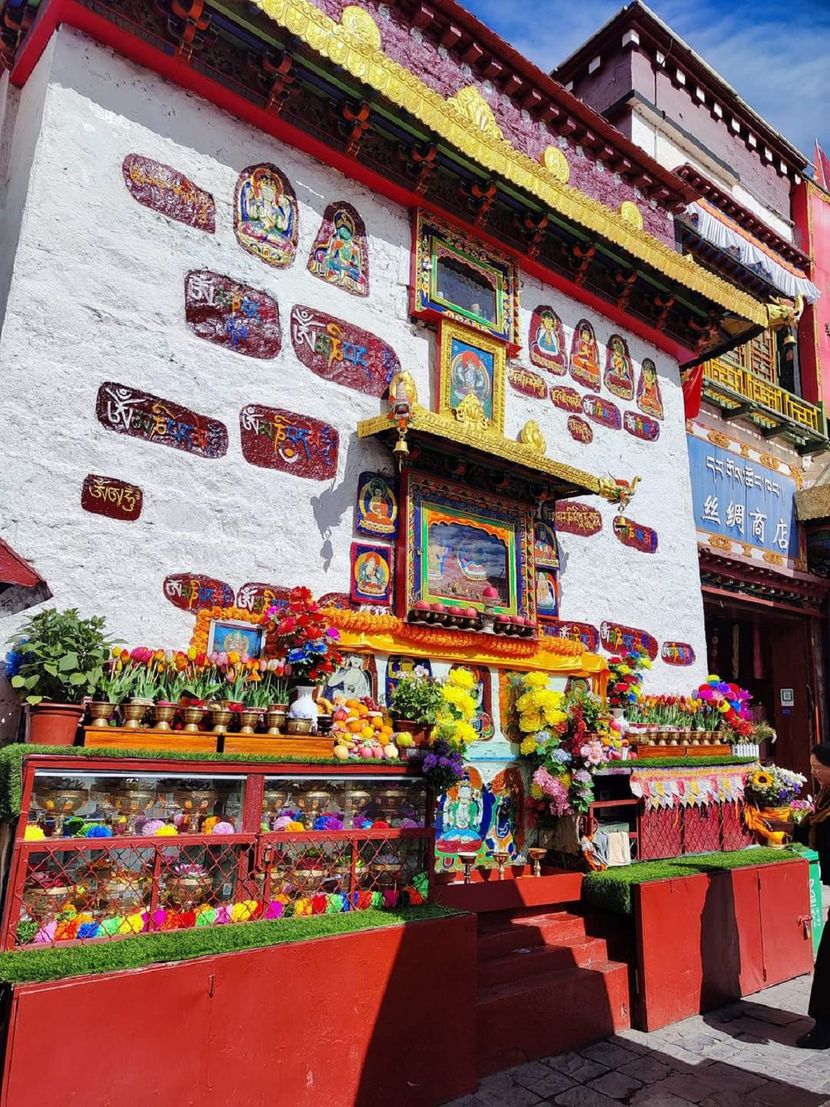 1724548305099-foto-ustupljene-fotografije-maja-djokovic-18-830x0