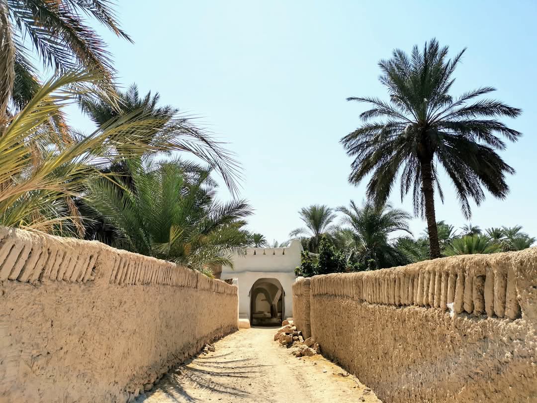 281d1c71-7281-4232-b190-3d4874f061cd