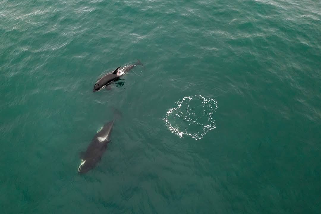 30447457-845A-408A-BF54-64F22454B99D