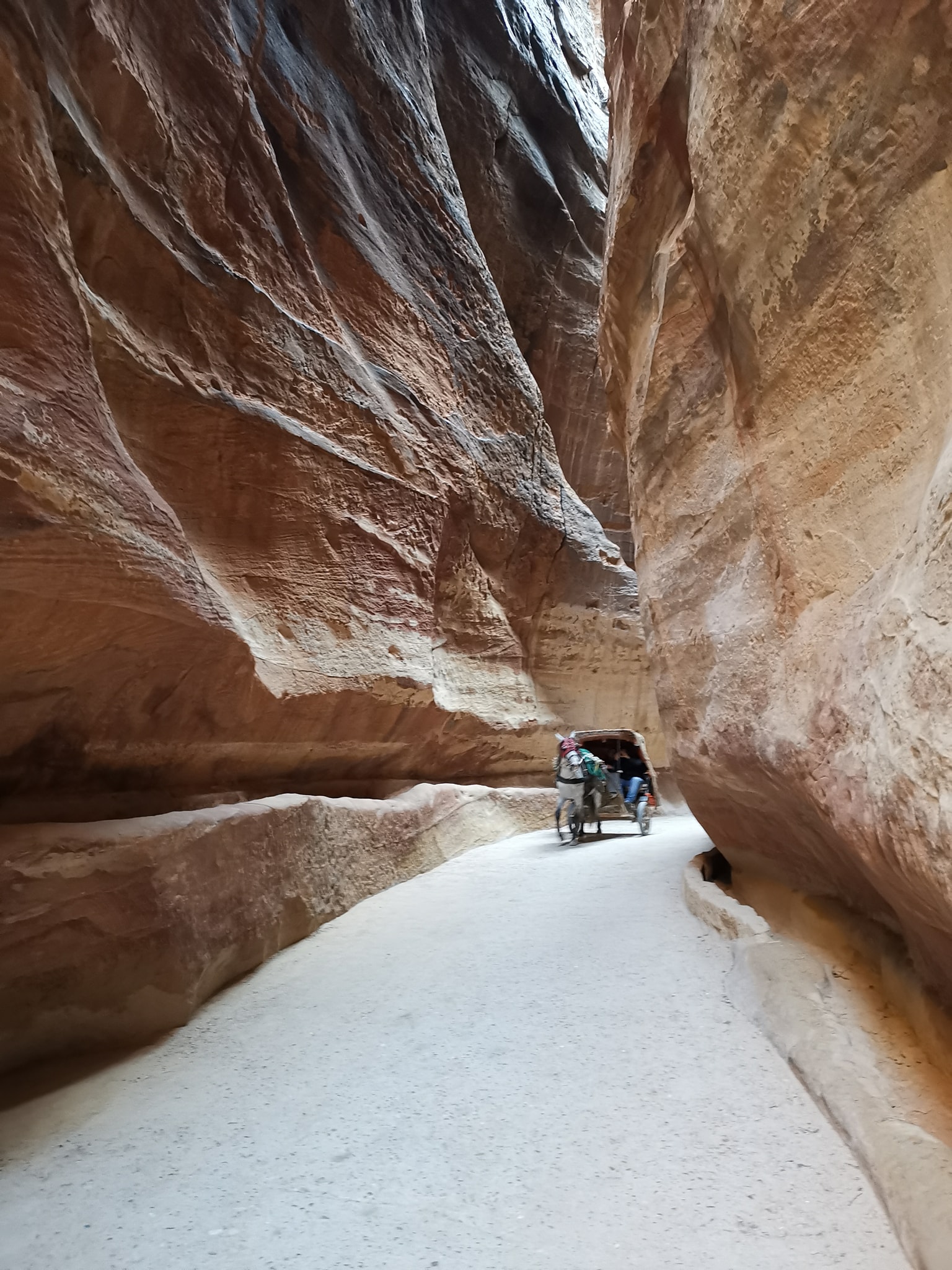 48408656_10205720707893247_5672019070493392896_n