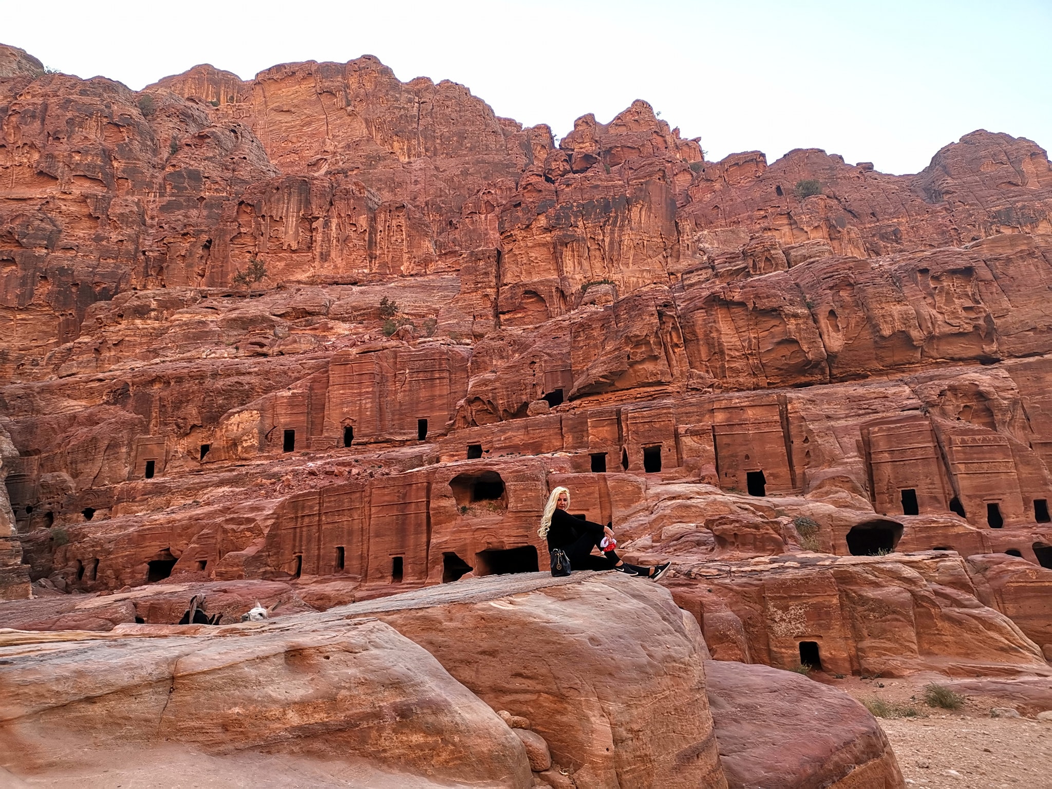 48427992_10205720700693067_1691699678439014400_n