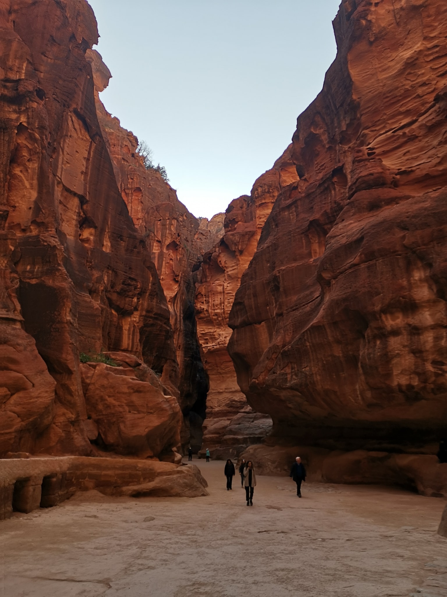 48992769_10205720706653216_4695178108192423936_n