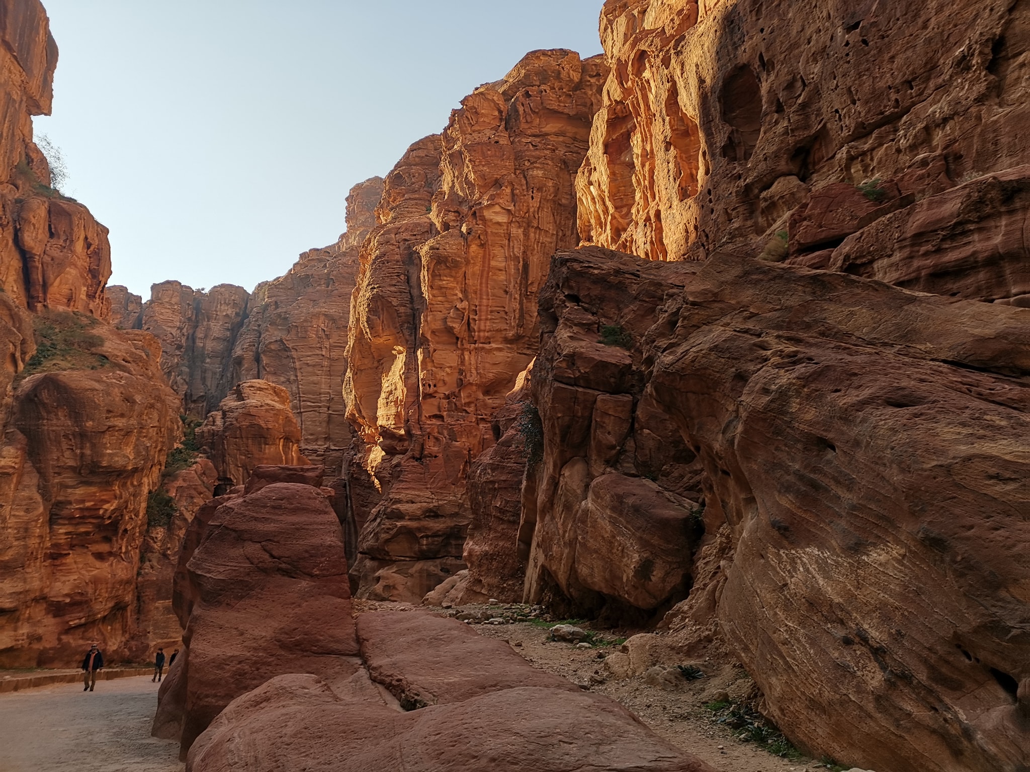 49072151_10205720708333258_5372654811965554688_n