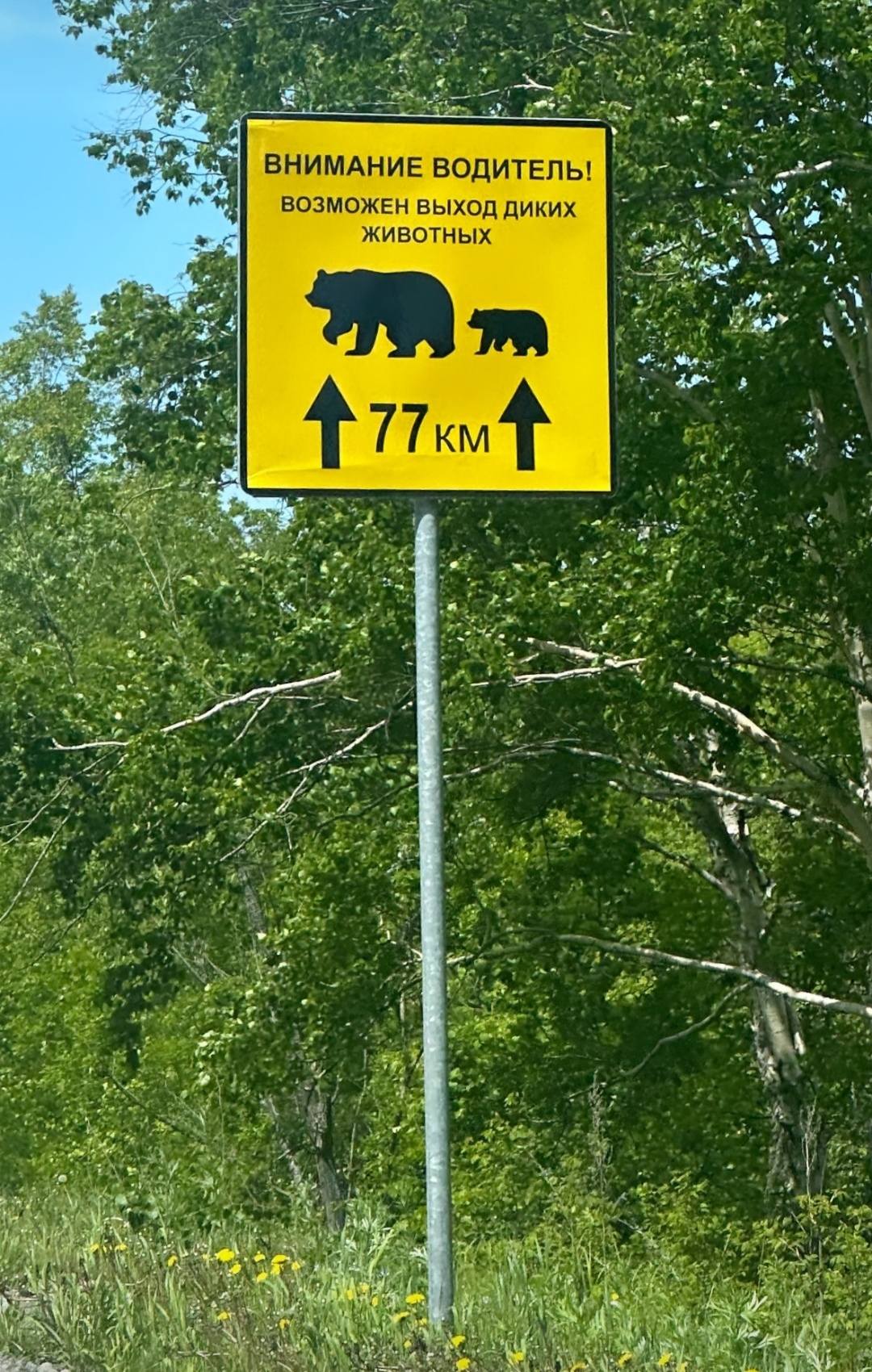 6275437A-2659-402C-A60A-71C86A037A4D