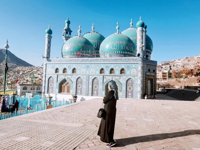 8fbeef11-e1f4-42ed-b242-009eb2afee78