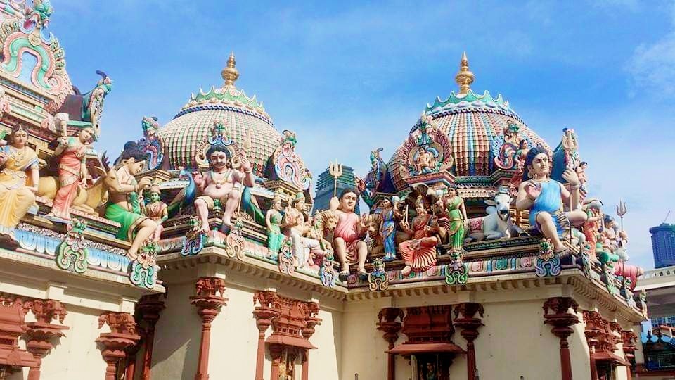 107559016_10208031153852952_6735520010644359980_n