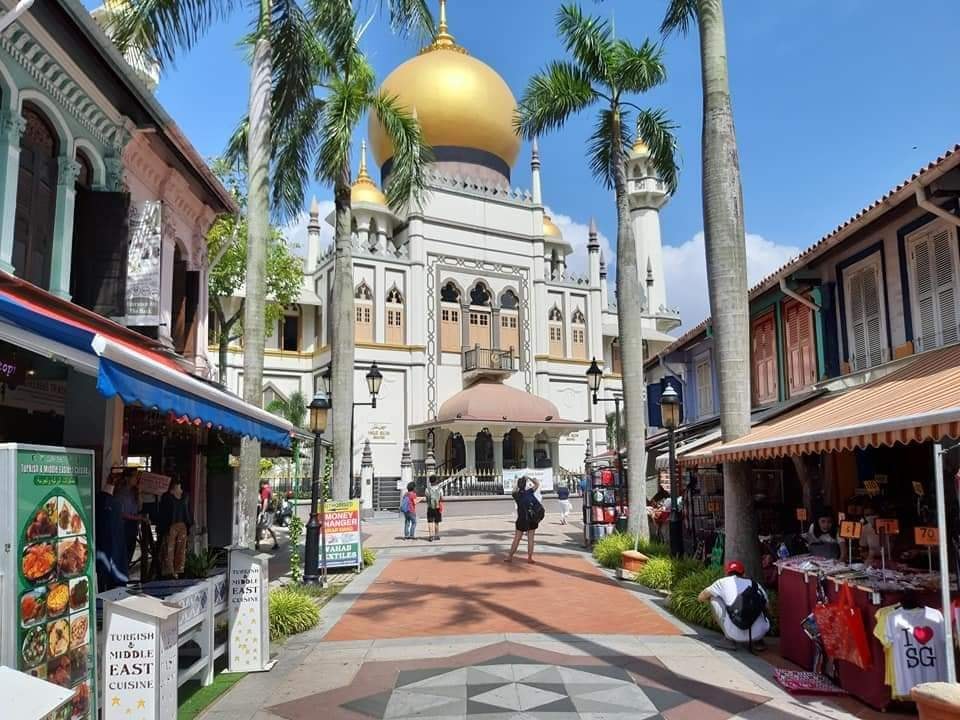 122094392_10208436978078304_4359387325793041752_n