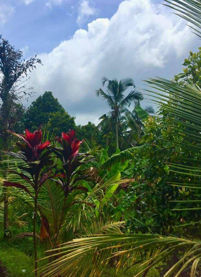 464753901_10213032094713348_8831197274860301067_n