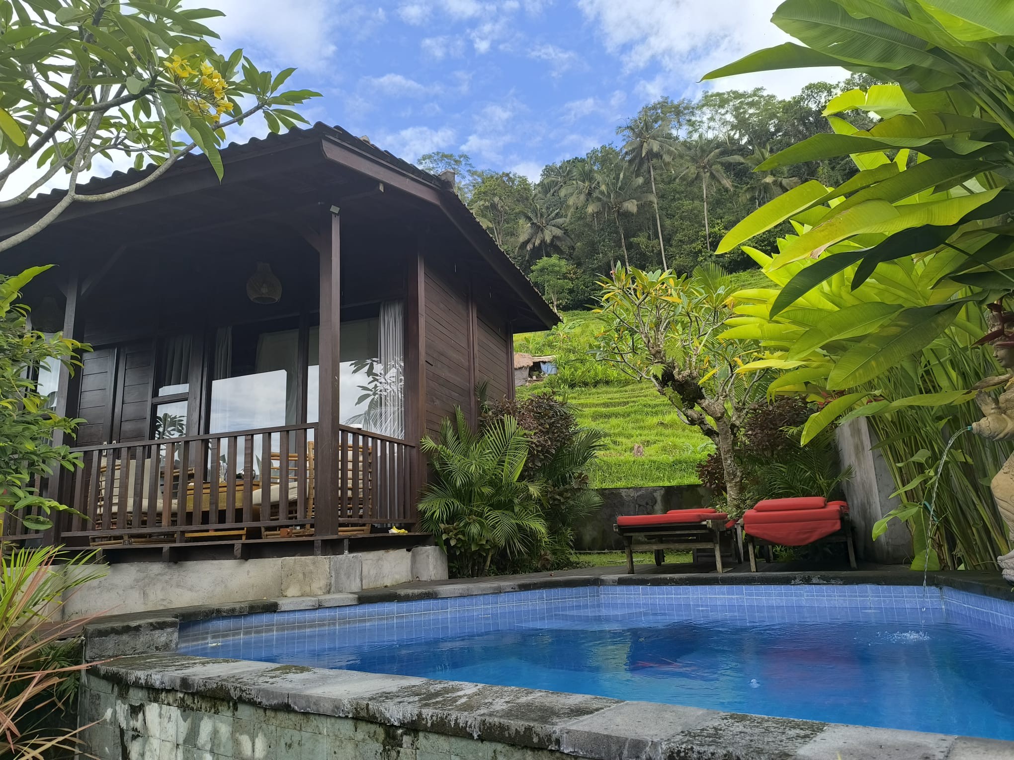 487809408_10213750356589446_4563712018213116741_n