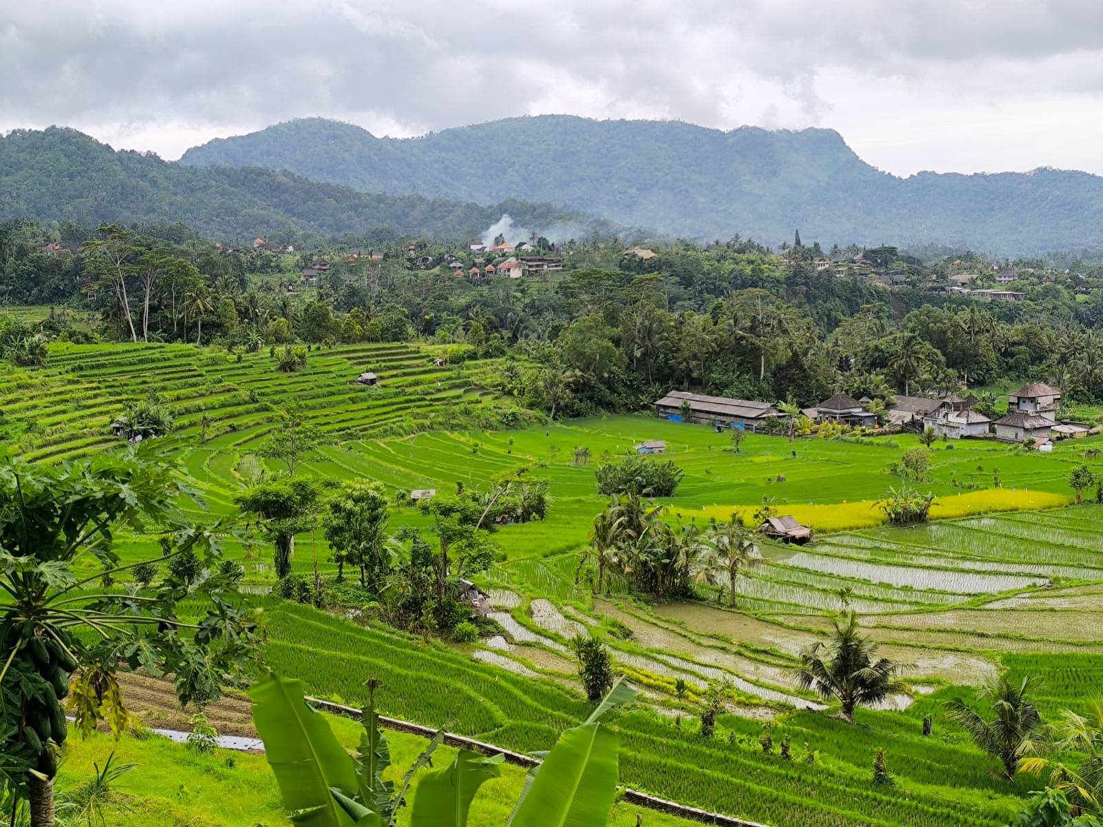 488420526_10213750354989406_8913617755593353417_n