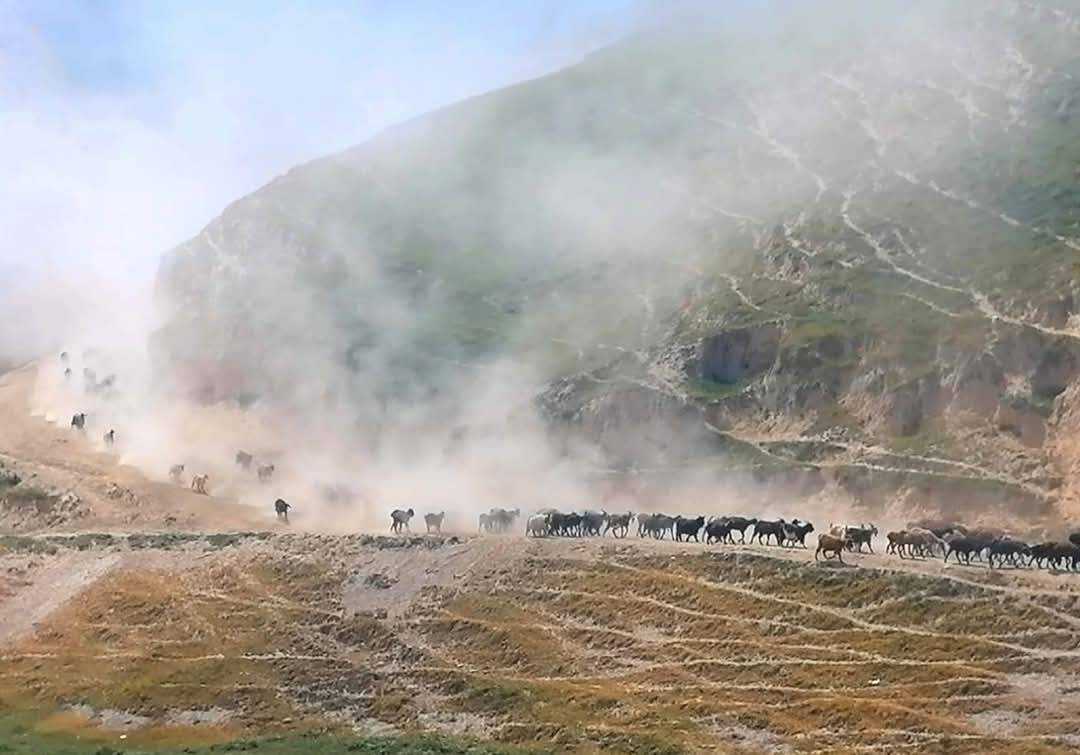 WhatsApp Image 2025-04-06 at 19.14.28_8a67a5fb