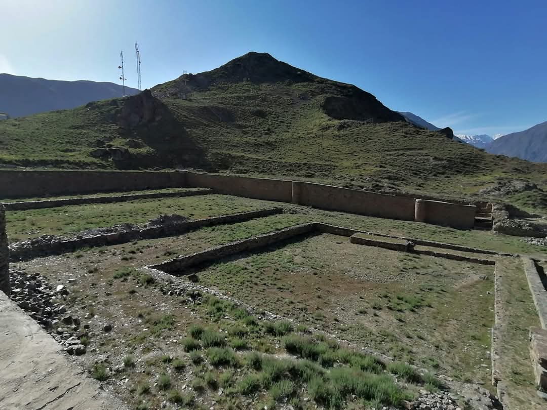 WhatsApp Image 2025-04-06 at 19.14.29_17ee0e57