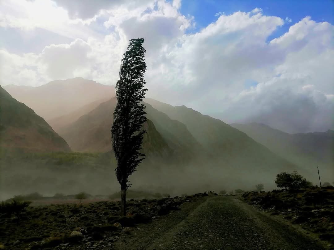 WhatsApp Image 2025-04-06 at 19.14.29_4f6ff20d