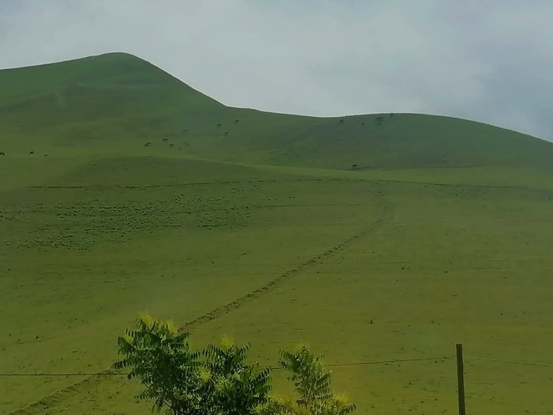 WhatsApp Image 2025-04-06 at 19.14.29_725ce119