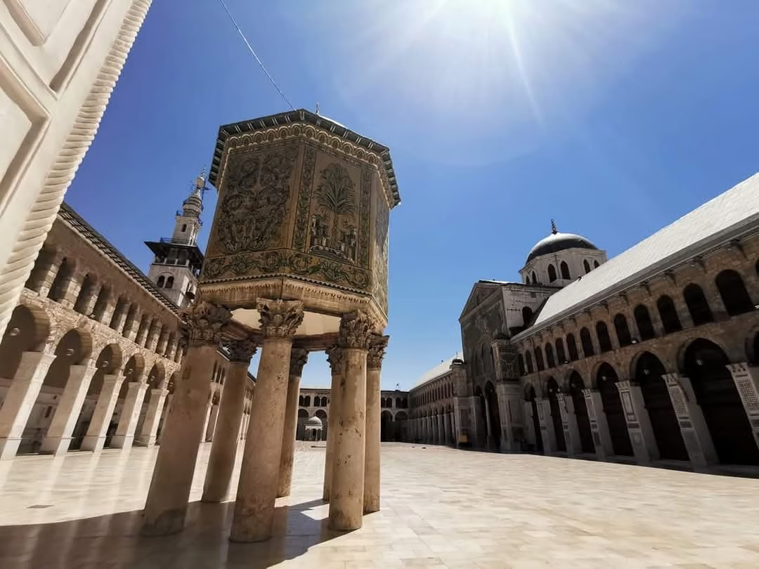 e1c494ae-f890-4fcd-886d-a6e6102c032f