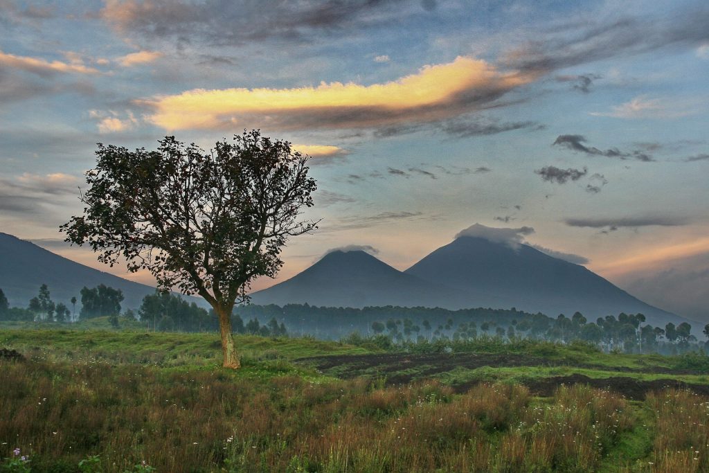 Uganda i Ruanda
