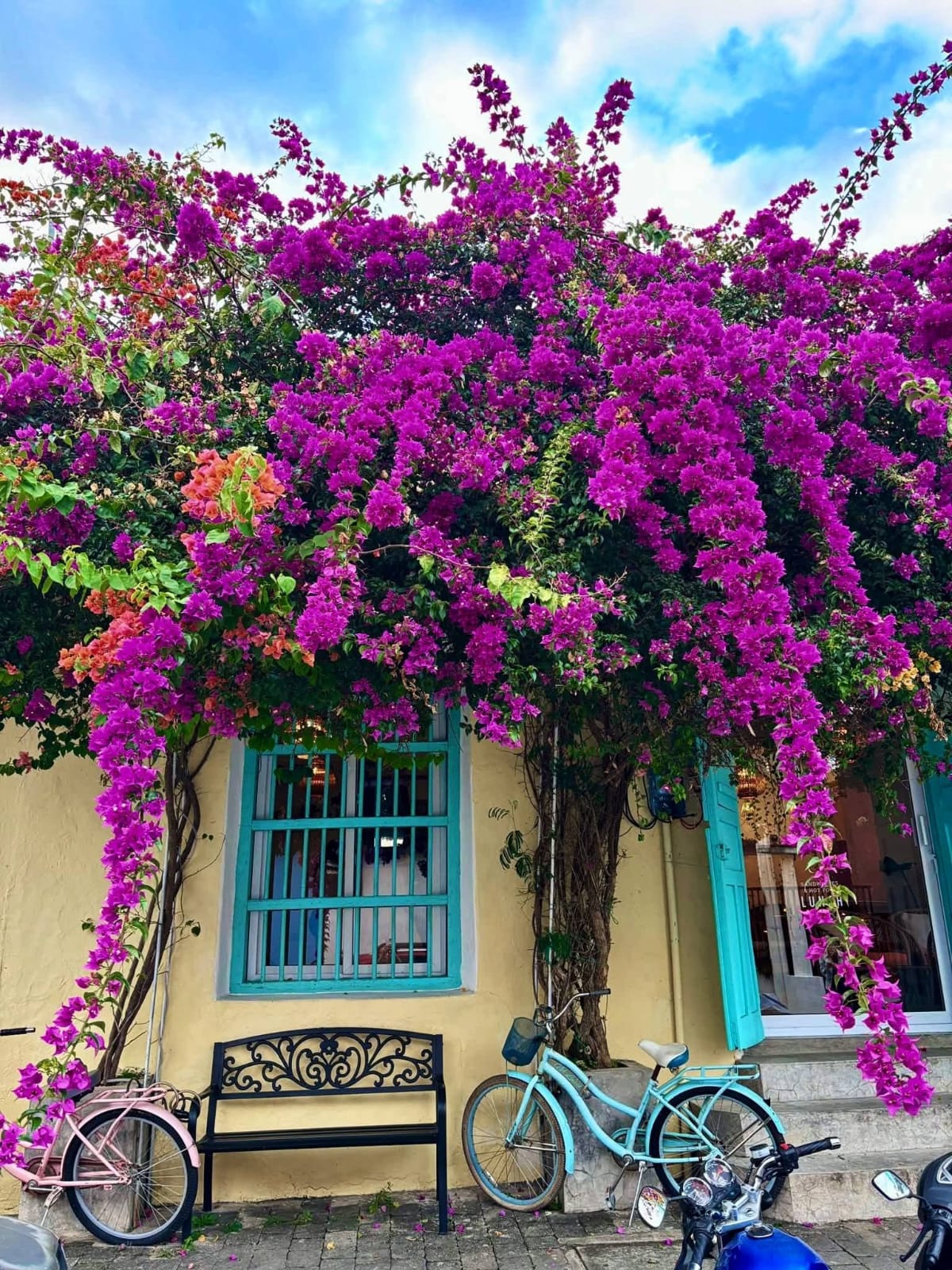 Central America 7