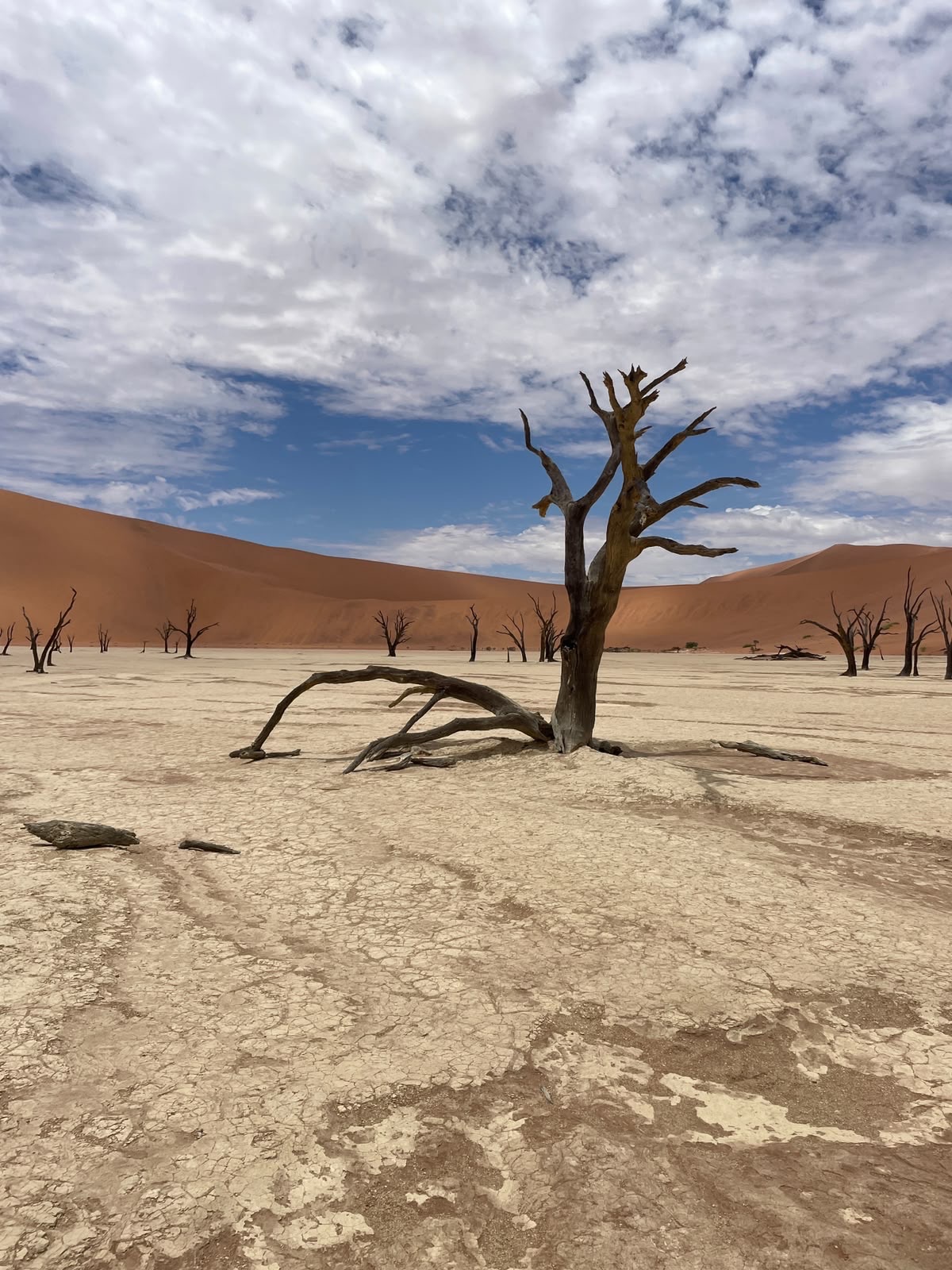 Namibija 11
