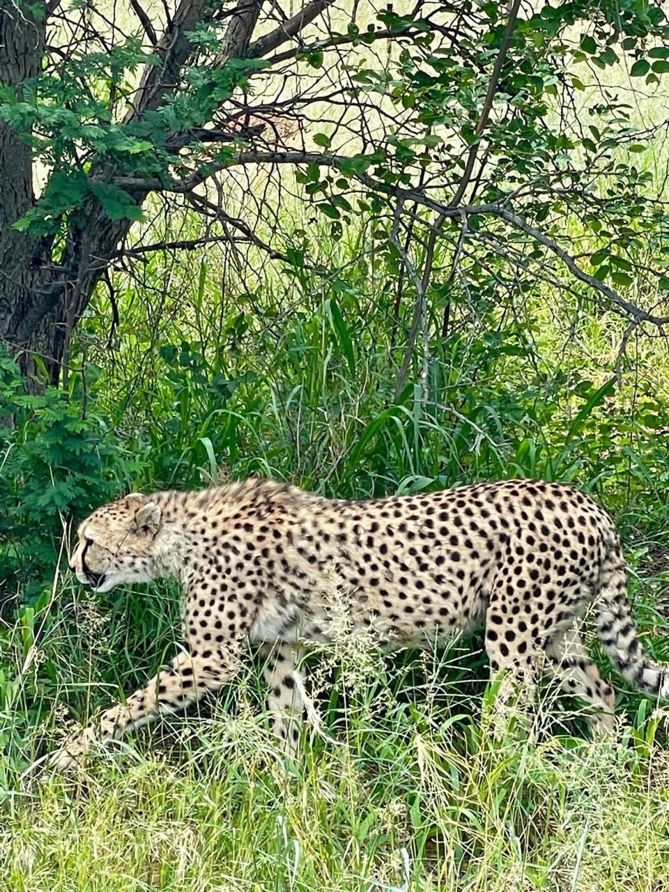 Namibija 15