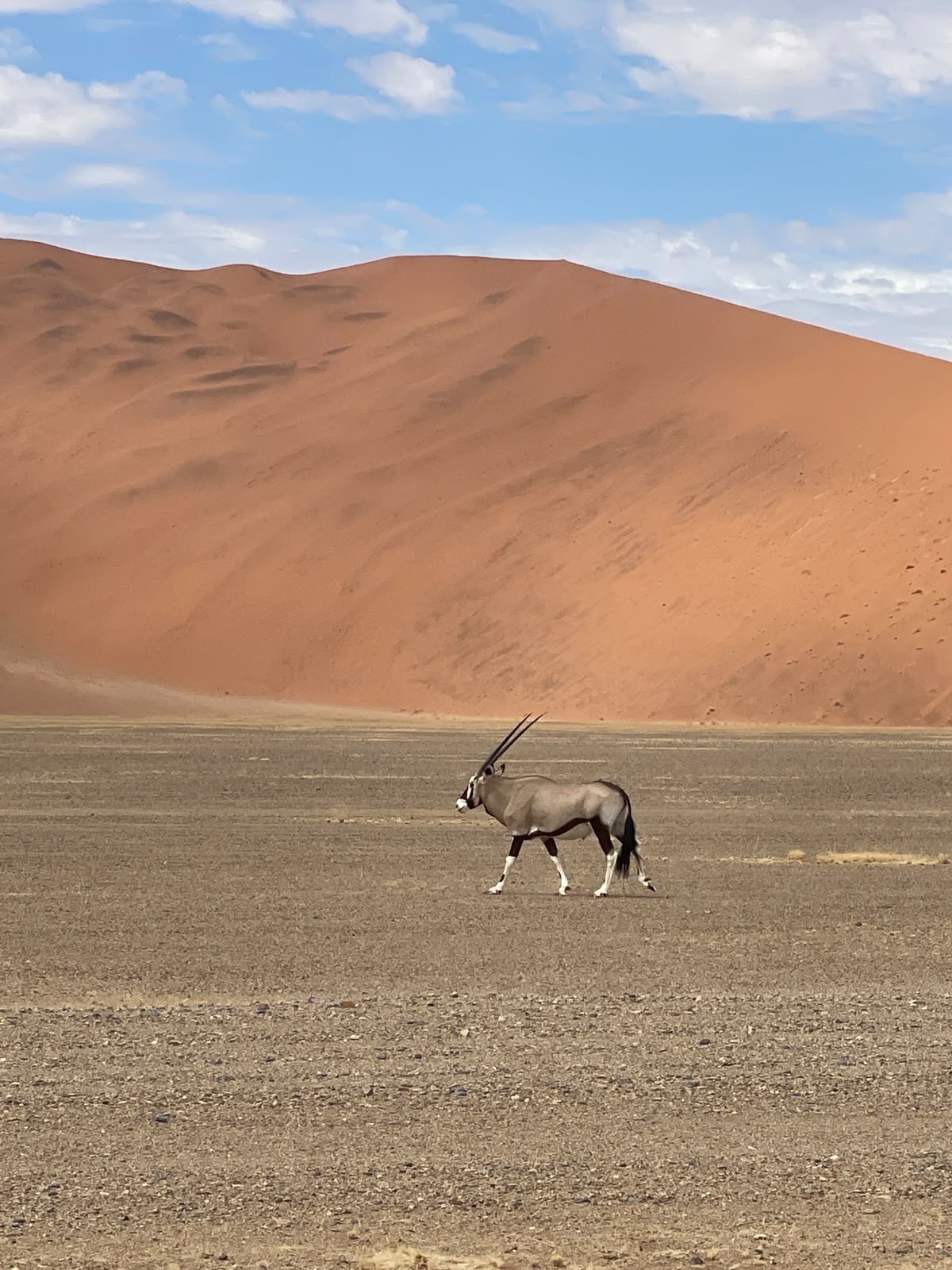Namibija 12