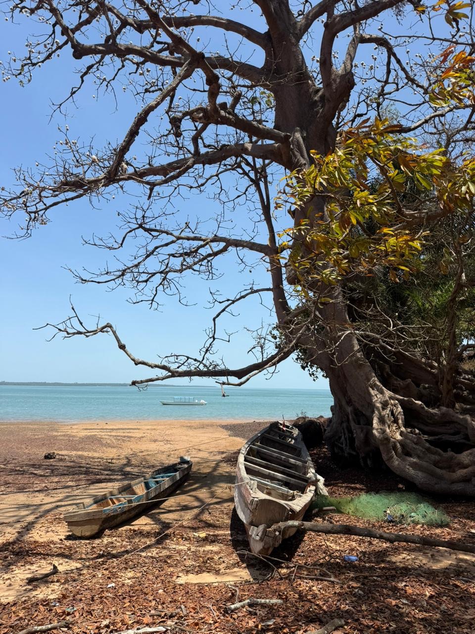 Guinea-Bissau Bijagos 10