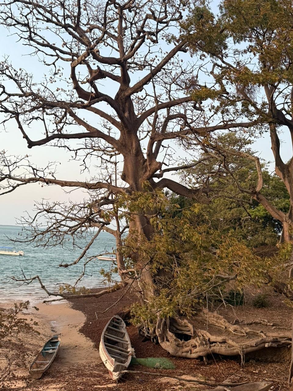 Guinea-Bissau Bijagos 11