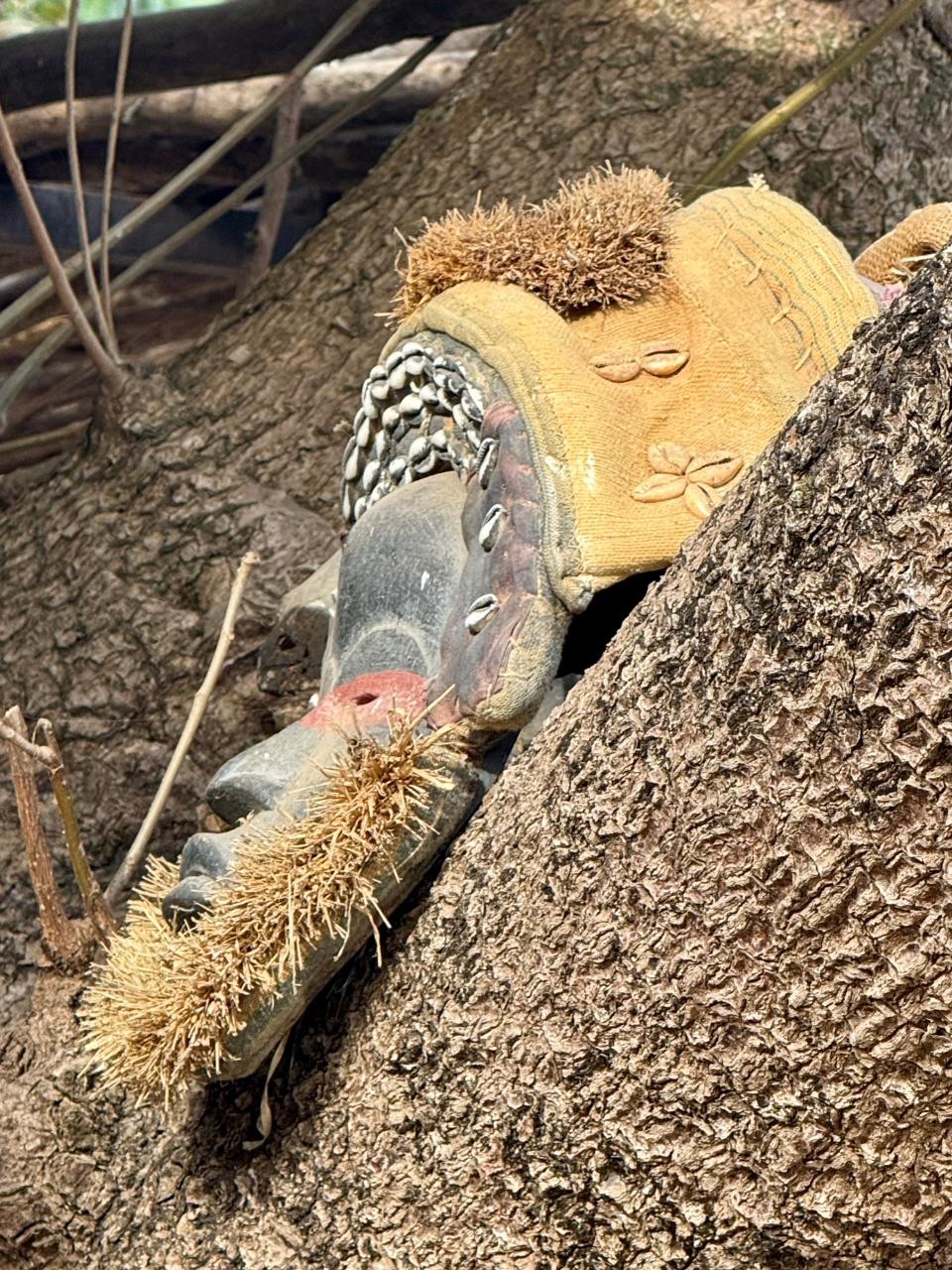 Guinea-Bissau Bijagos 17