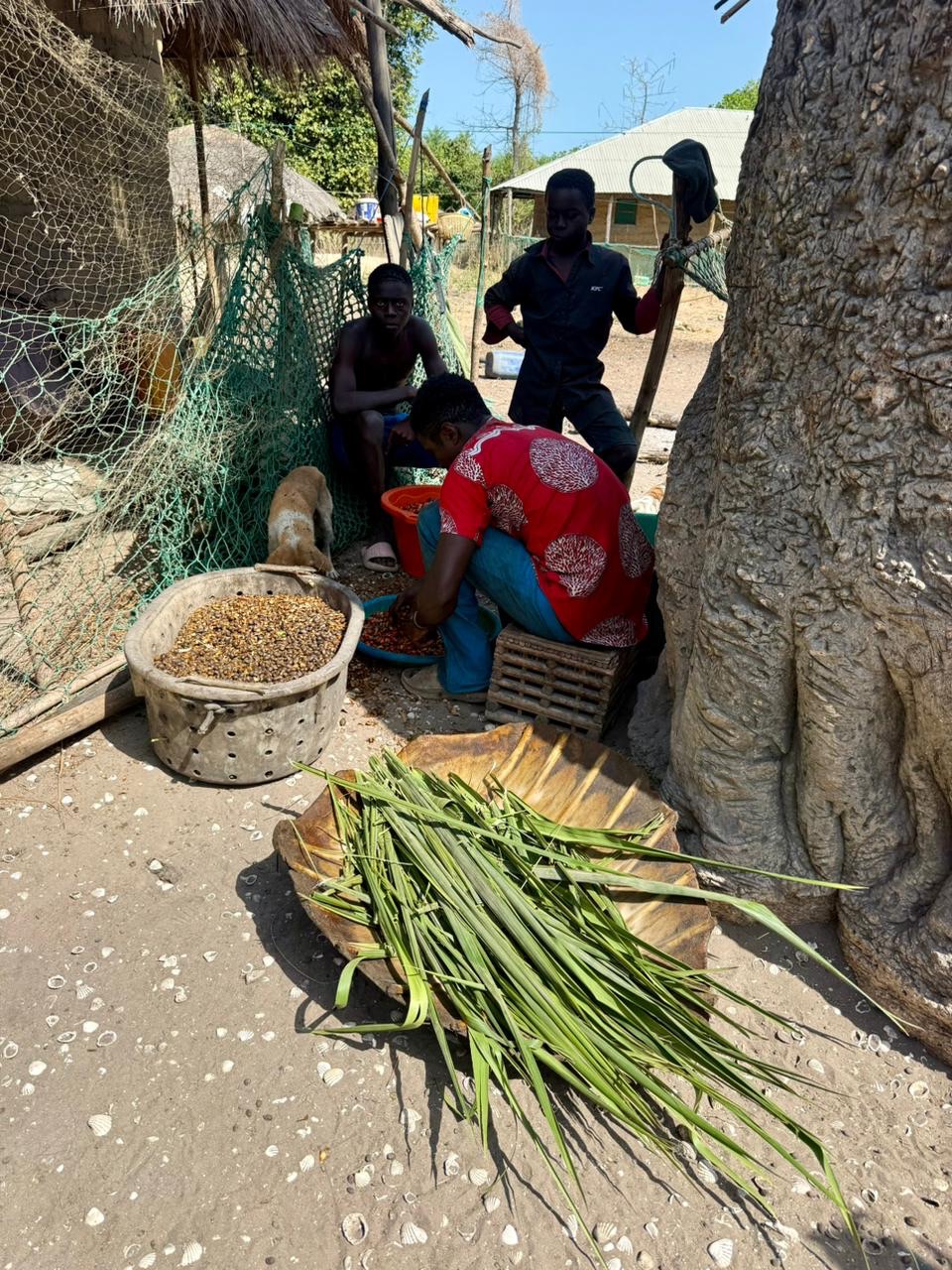 Guinea-Bissau Bijagos 18