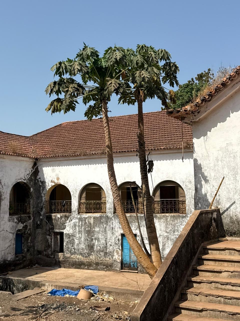 Guinea-Bissau Bijagos 13